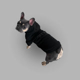 BLVCK Kuwait | Bold Pet Hoodie